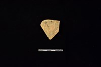 藏品(陶片)的圖片